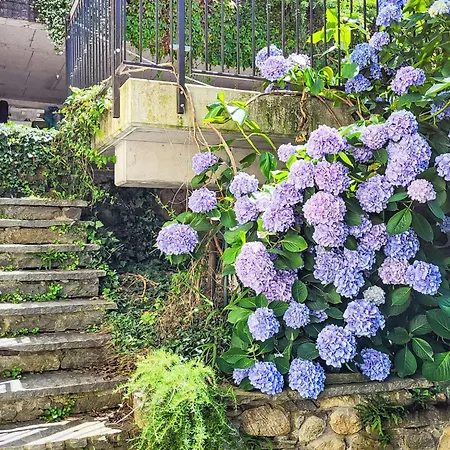 Ronchitt By Interhome San Nazzaro