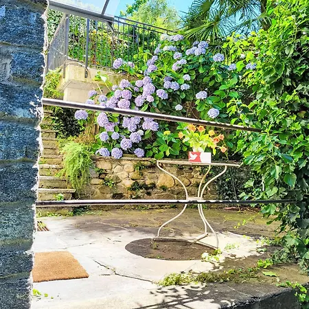 Ronchitt By Interhome